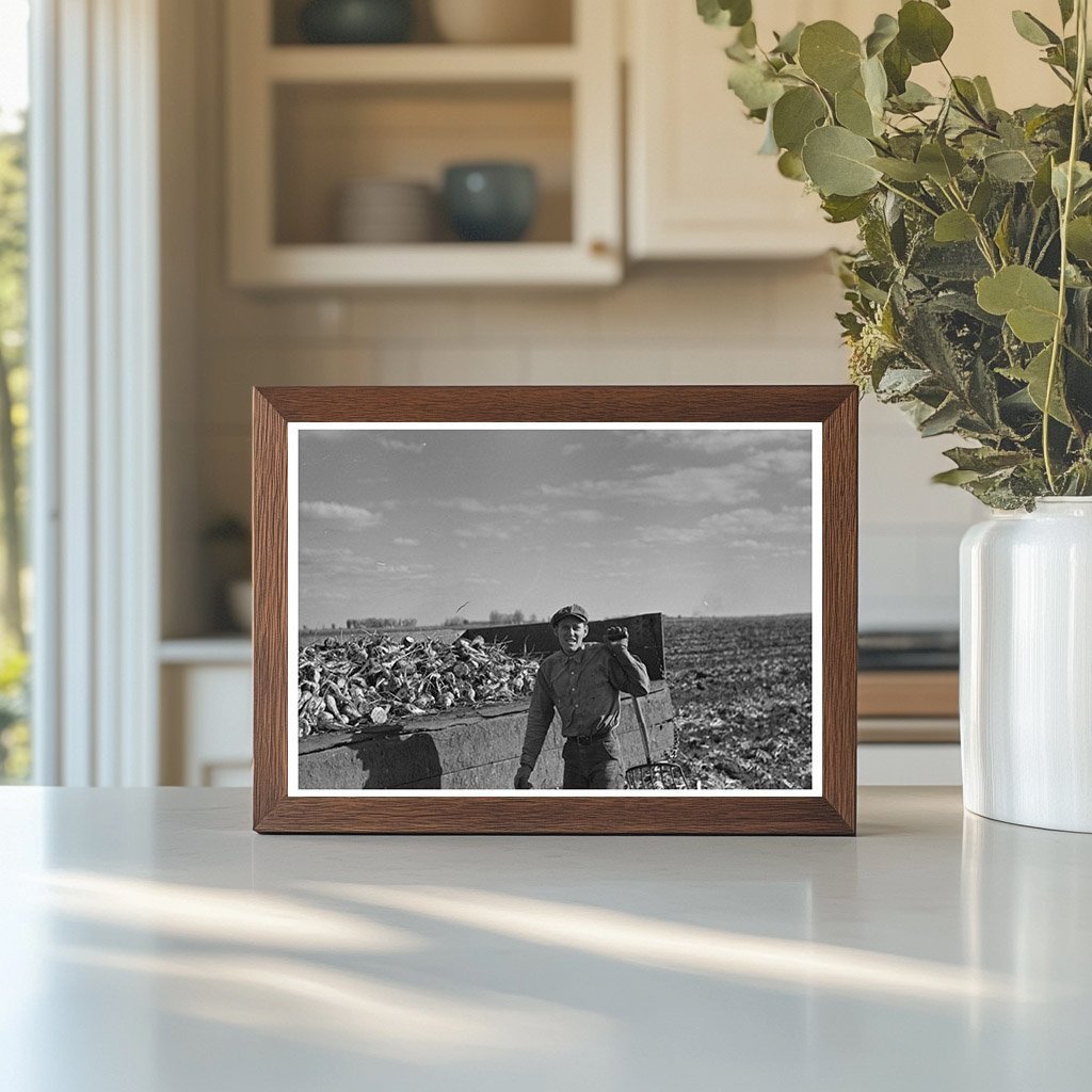 Beet Worker in East Grand Forks Minnesota 1937 - Available at KNOWOL