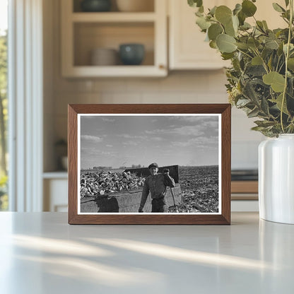 Beet Worker in East Grand Forks Minnesota 1937 - Available at KNOWOL