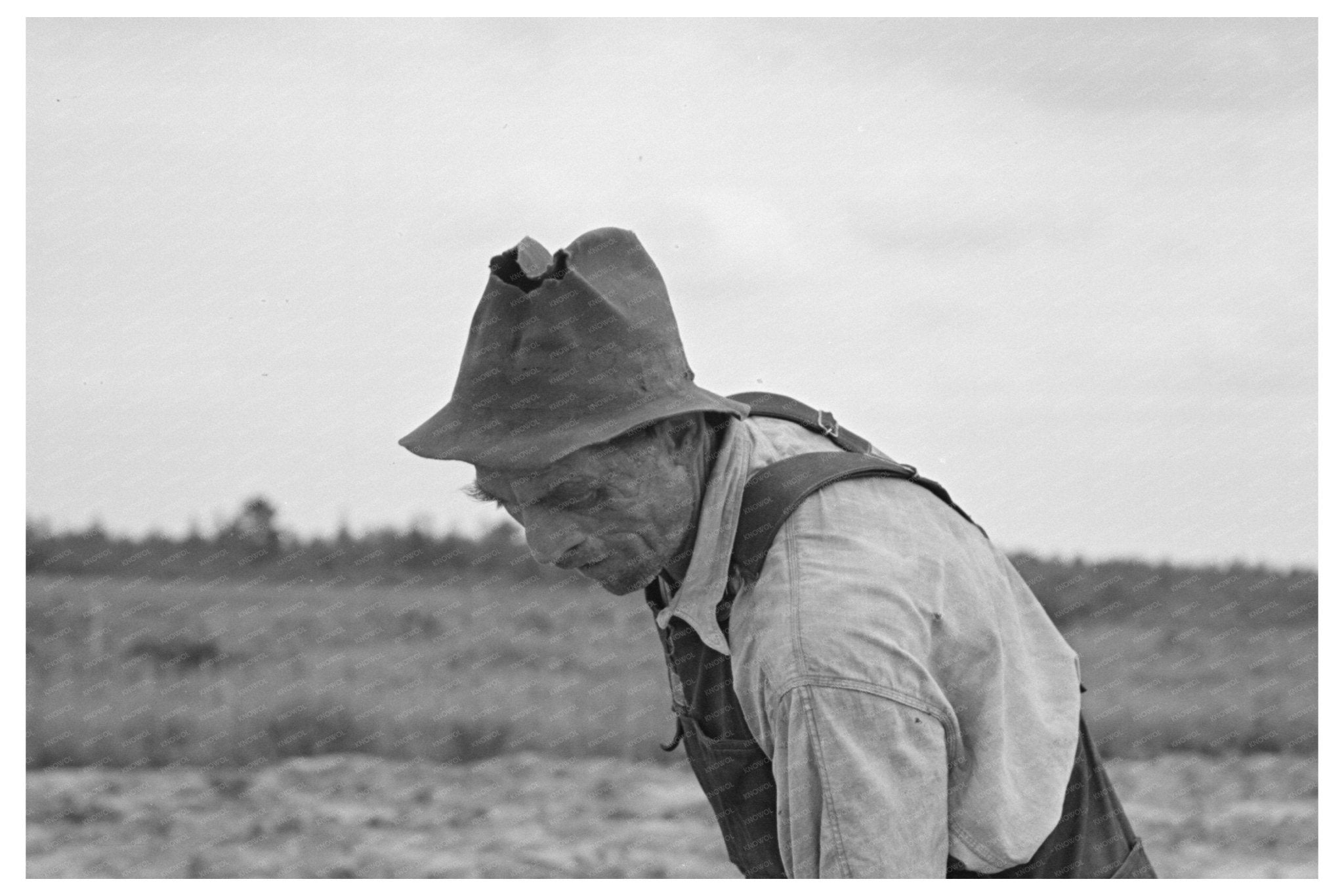 Ben Johnson Farming in Cut - Over Lands Wisconsin 1937 - Available at KNOWOL