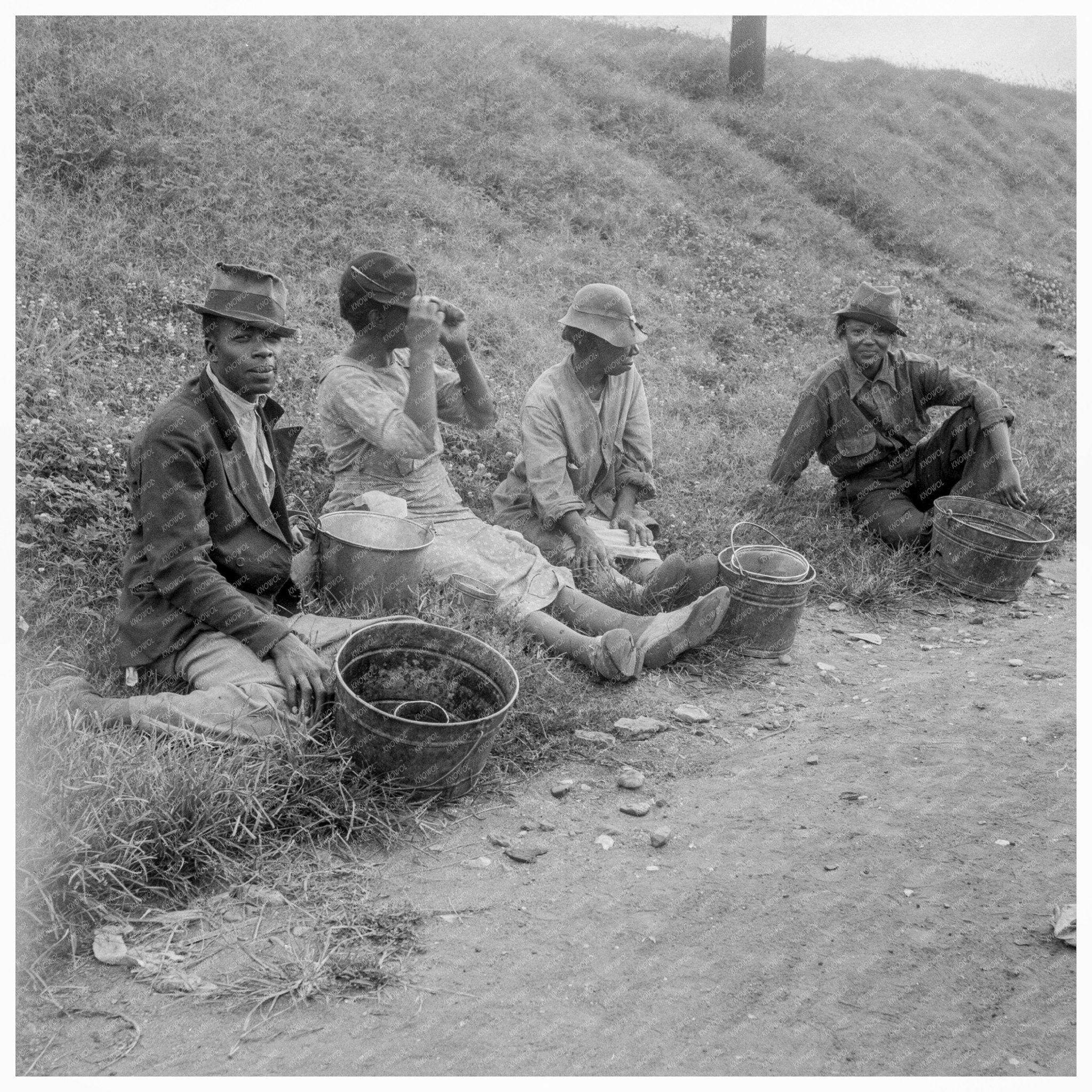 Berry Pickers in Memphis Tennessee June 1938 - Available at KNOWOL