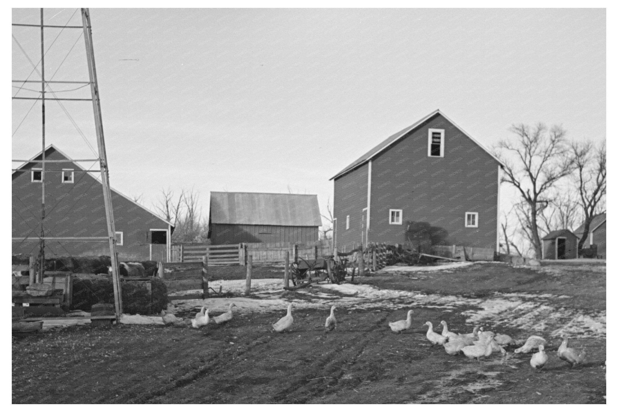Bert Aldrich Farm in Dickens Iowa December 1936 Image - Available at KNOWOL