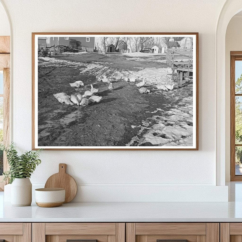 Bert Aldrich Farm Near Dickens Iowa December 1936 - Available at KNOWOL