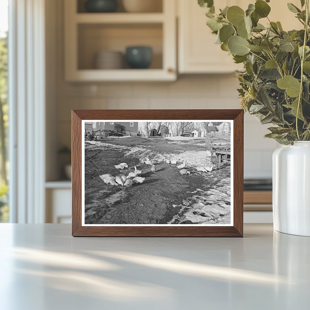 Bert Aldrich Farm Near Dickens Iowa December 1936 - Available at KNOWOL