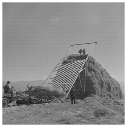 Big Hole Valley Haying Scene Montana August 1942 - Available at KNOWOL