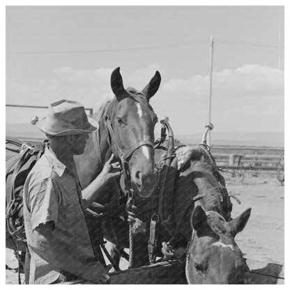 Big Hole Valley Montana Horses at Ranch August 1942 - Available at KNOWOL