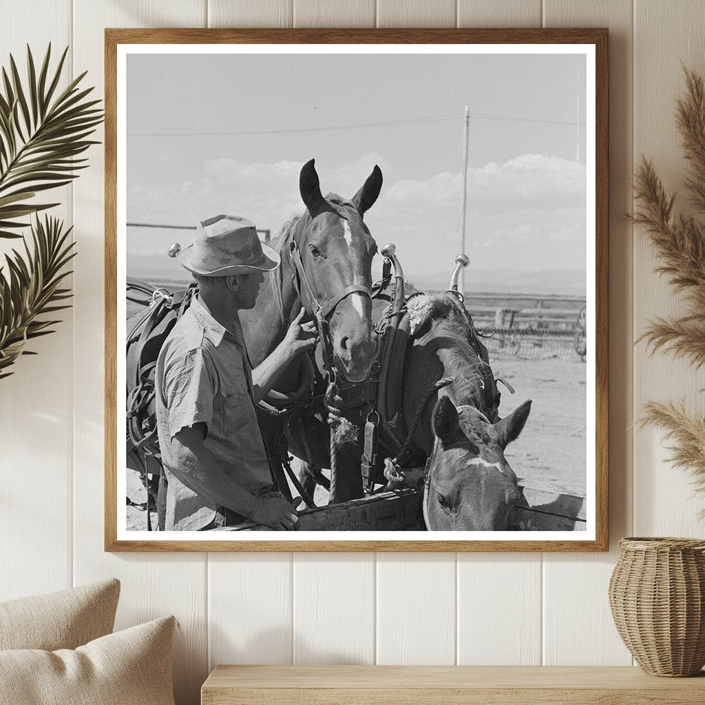 Big Hole Valley Montana Horses at Ranch August 1942 - Available at KNOWOL