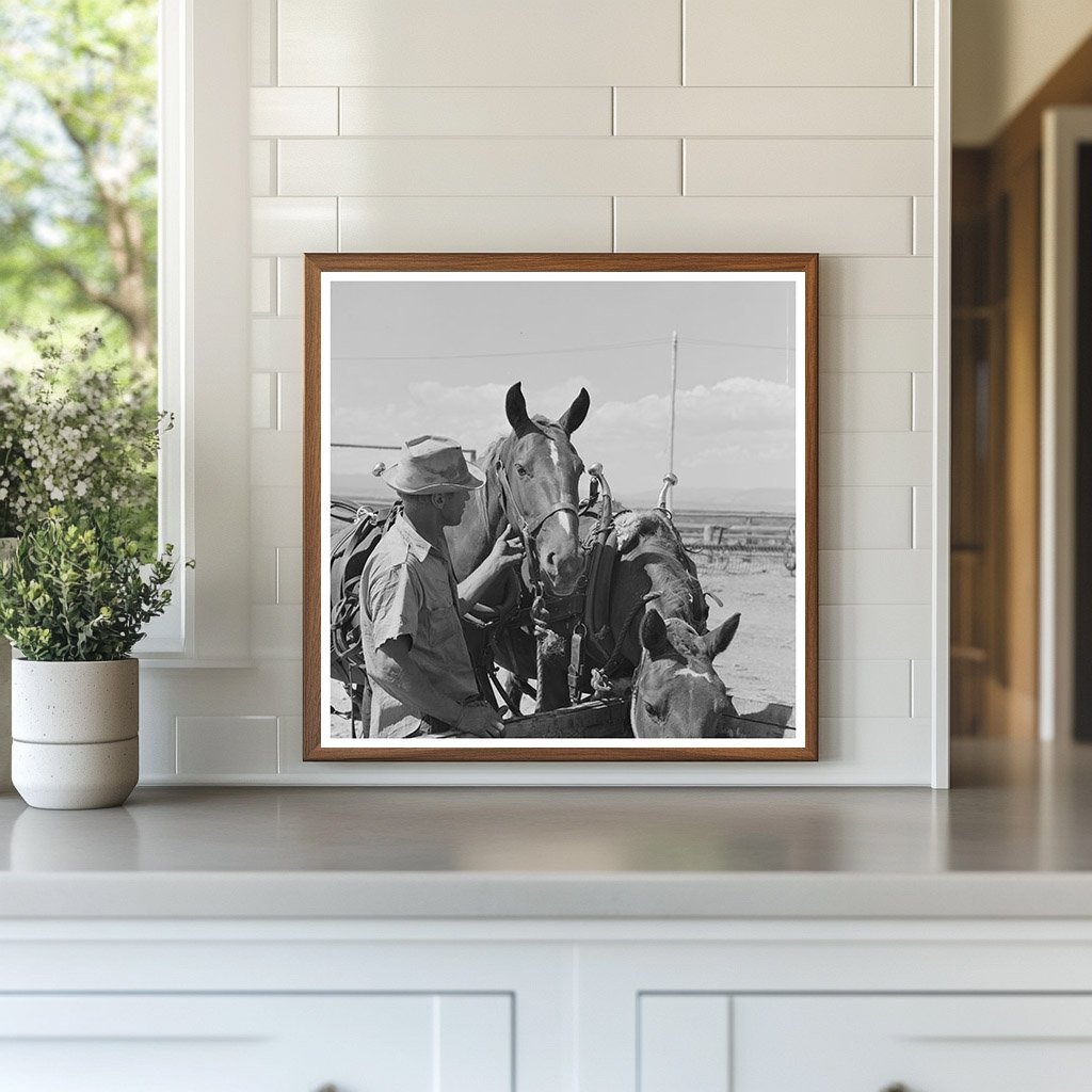 Big Hole Valley Montana Horses at Ranch August 1942 - Available at KNOWOL