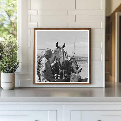 Big Hole Valley Montana Horses at Ranch August 1942 - Available at KNOWOL