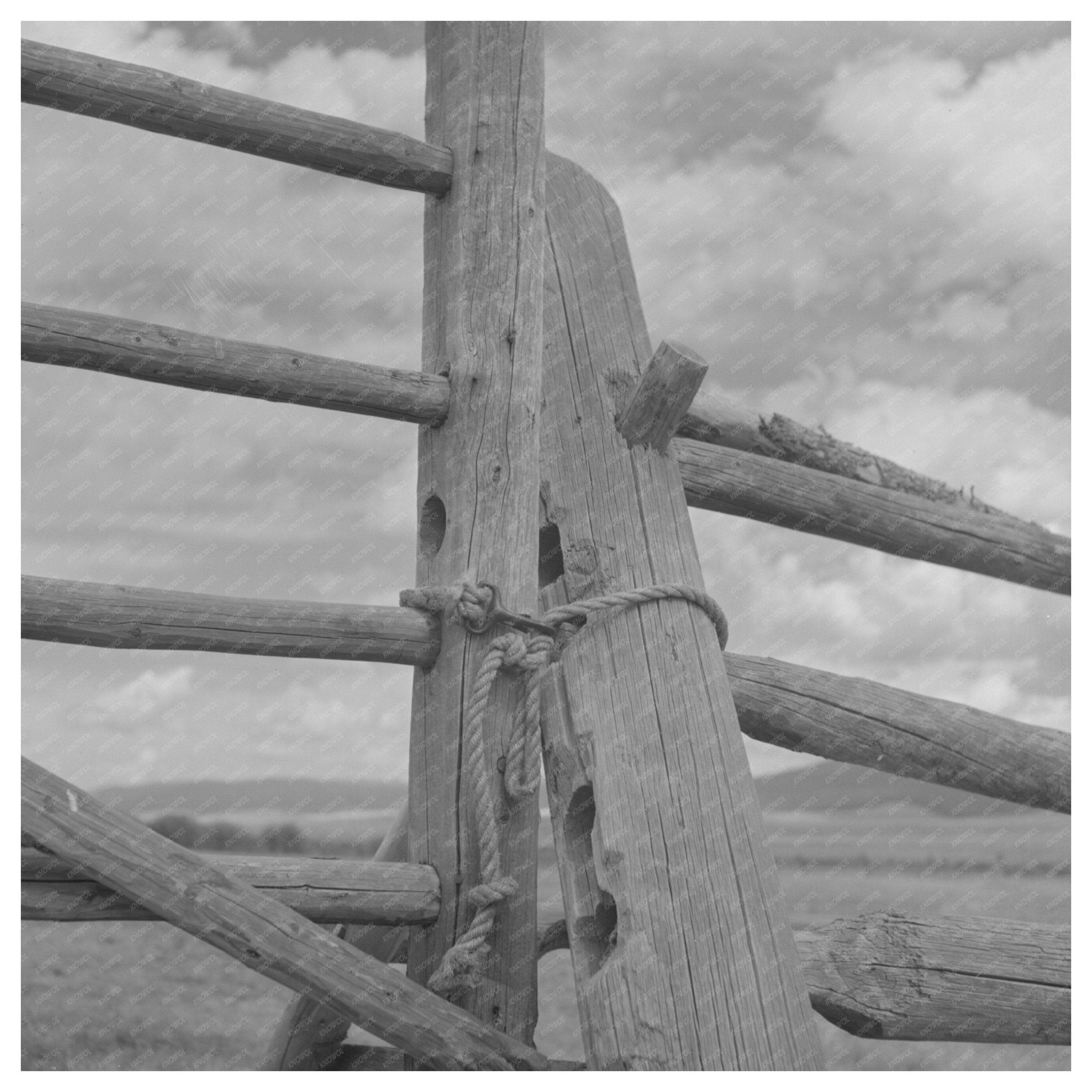 Big Hole Valley Ranch Fence August 1942 Image - Available at KNOWOL