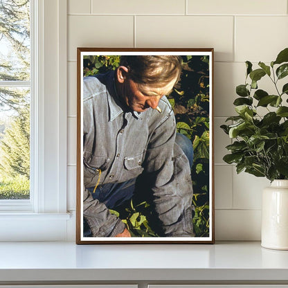 Bill Stagg Turning Bean Crop Pie Town New Mexico 1940 - Available at KNOWOL