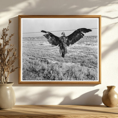 Blue Eagle on California Highway 1936 - Available at KNOWOL