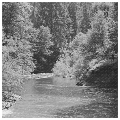 Blue Pool Forest Camp July 1942 Willamette National Park - Available at KNOWOL