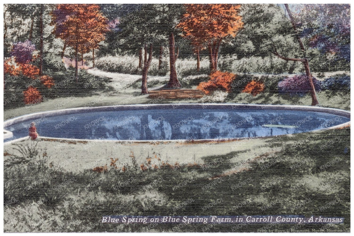 Blue Spring Farm Carroll County Arkansas Vintage Postcard 1930 - 1945 - Available at KNOWOL