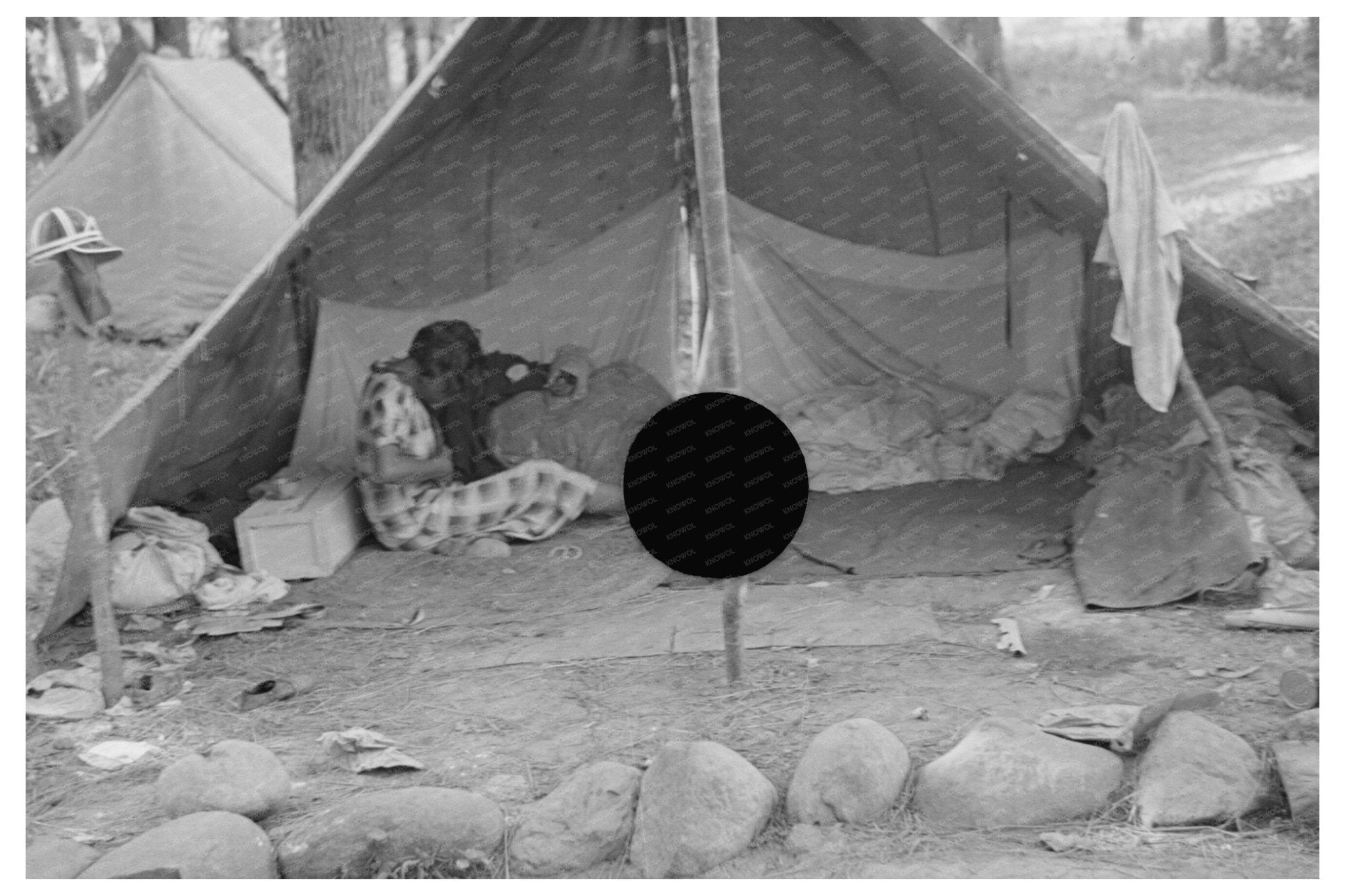 Blueberry Picker Tent Interior Minnesota 1937 - Available at KNOWOL