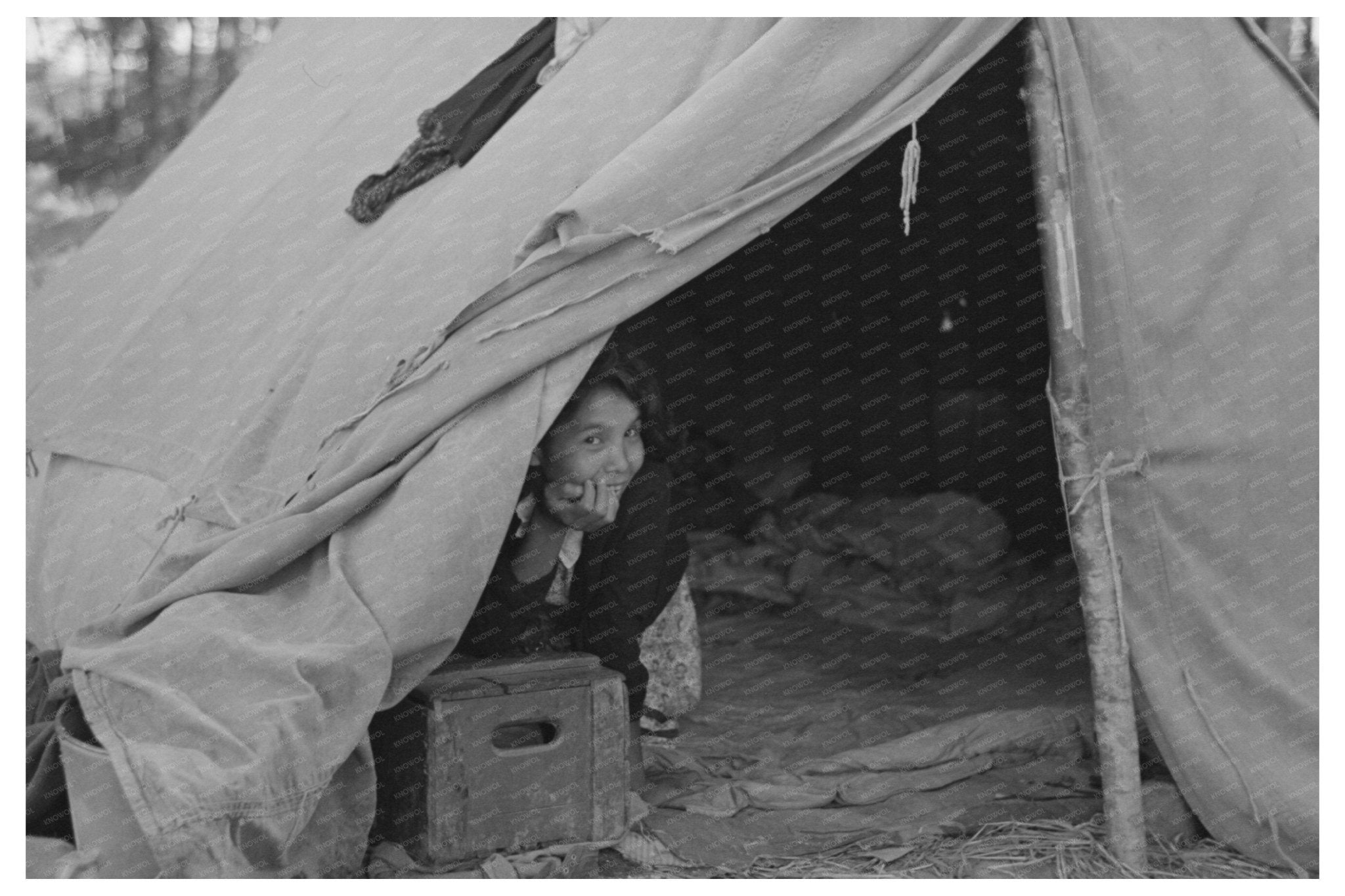 Blueberry Pickers Home Little Fork Minnesota 1937 - Available at KNOWOL