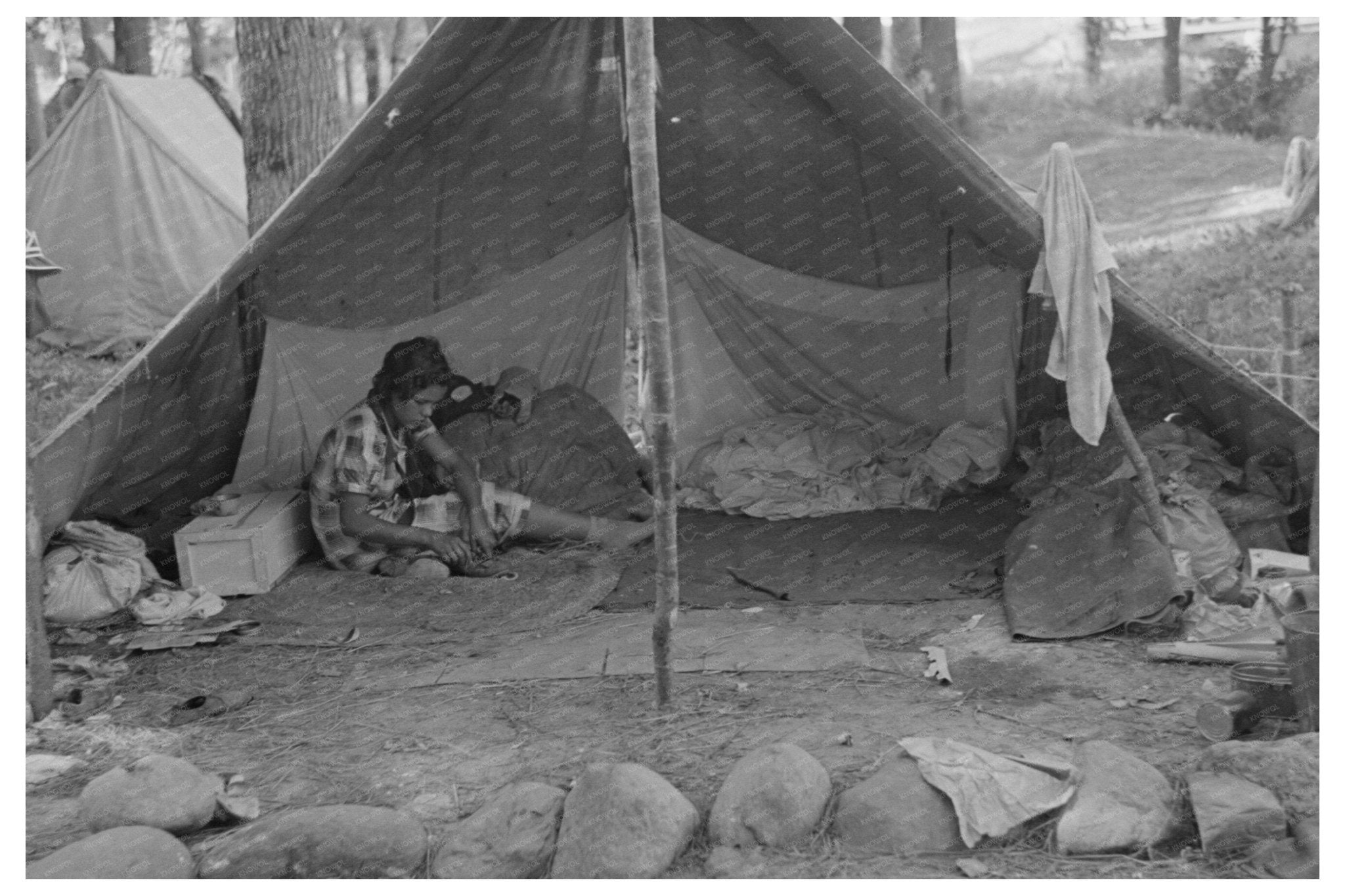 Blueberry Pickers Tent Little Fork Minnesota August 1937 - Available at KNOWOL