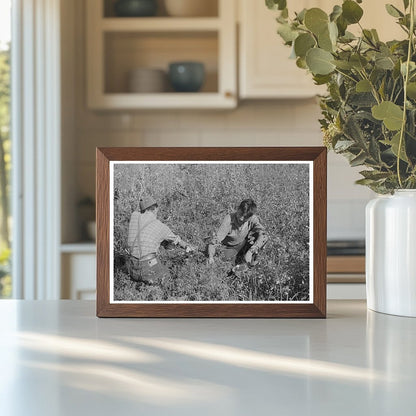 Blueberry Picking in Little Fork Minnesota 1937 - Available at KNOWOL