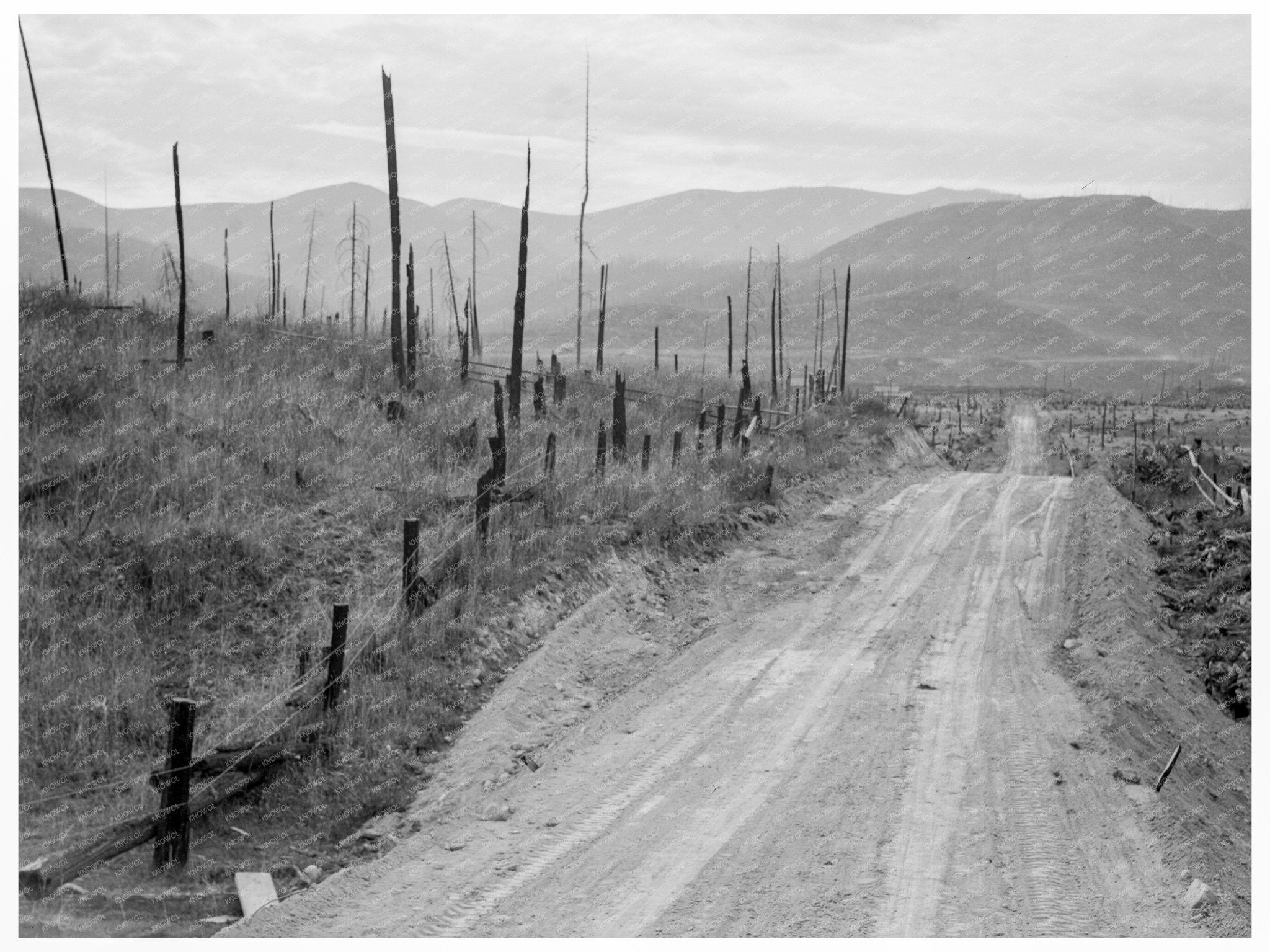 Bonner County Idaho Cut - Over Area October 1939 - Available at KNOWOL