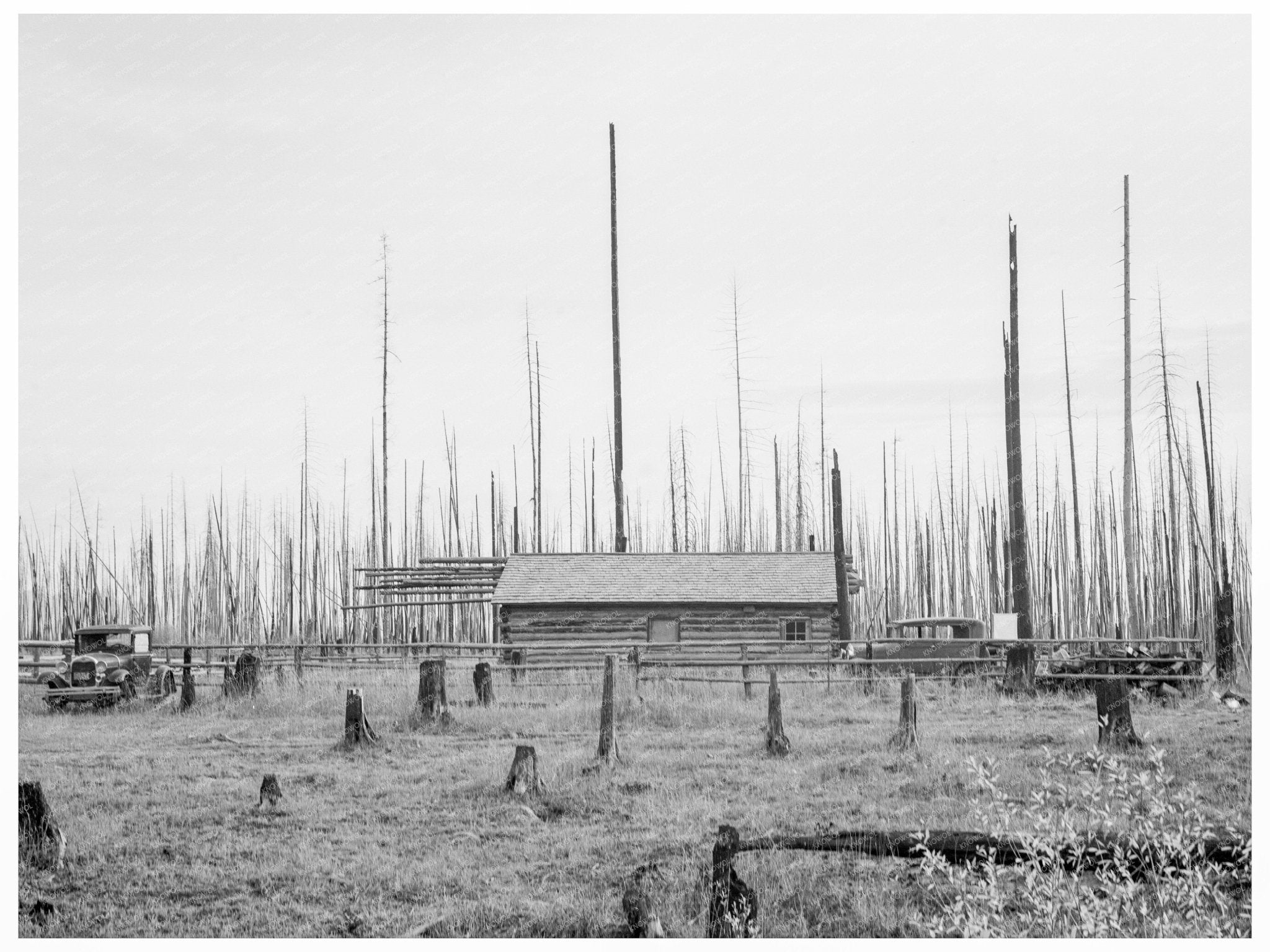 Bonner County Idaho Homestead October 1939 - Available at KNOWOL