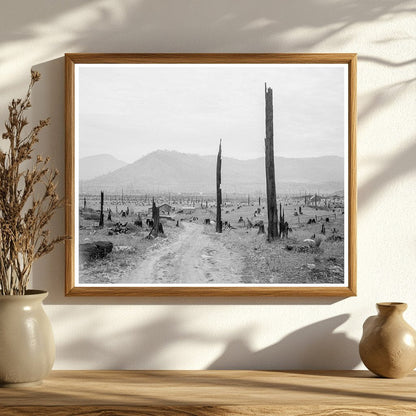 Bonner County Idaho Landscape with Tree Stumps 1939 - Available at KNOWOL