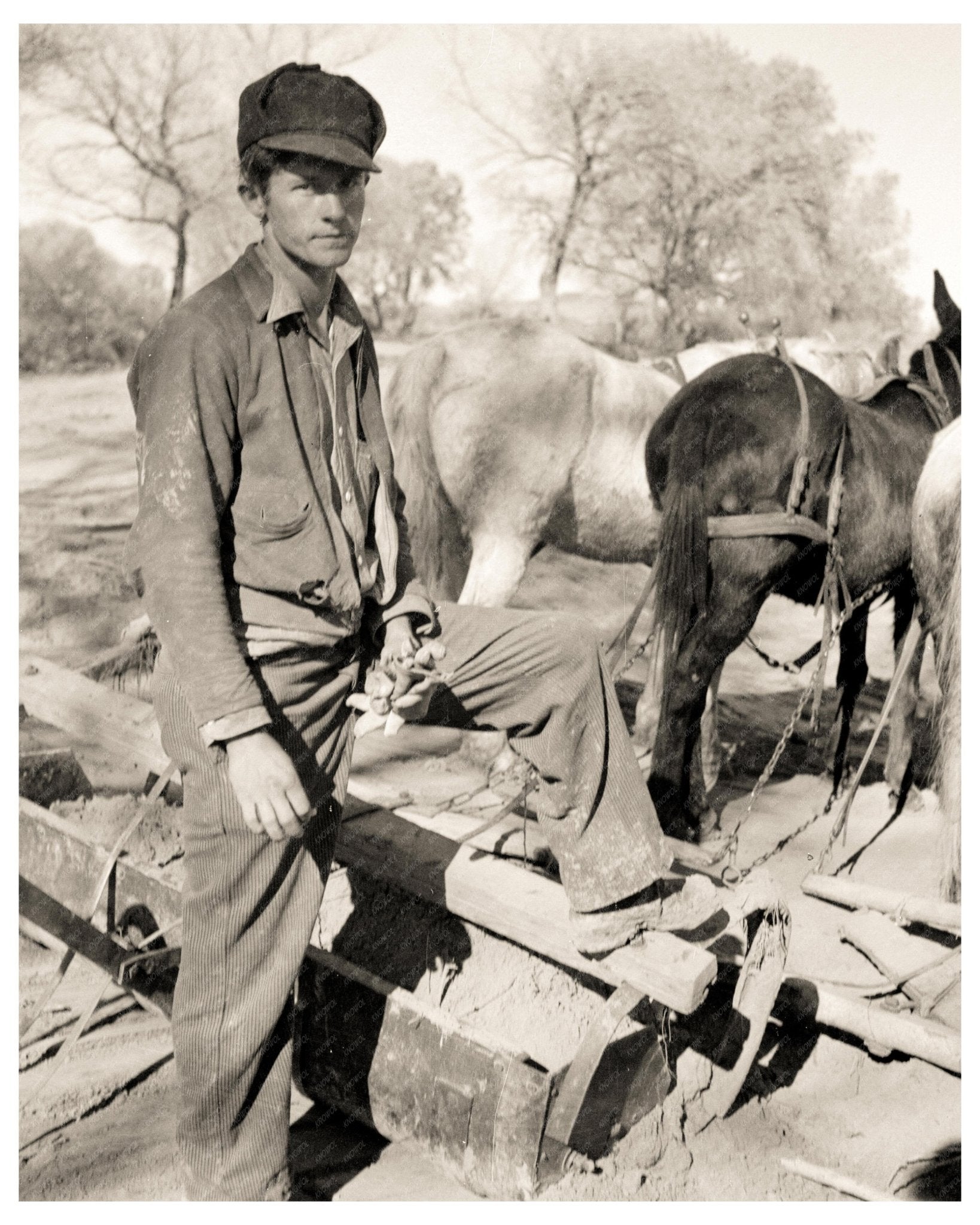 Bosque Farms Project New Mexico 1935 Vintage Image - Available at KNOWOL