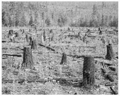 Boundary County Idaho Farm Land October 1939 Image - Available at KNOWOL