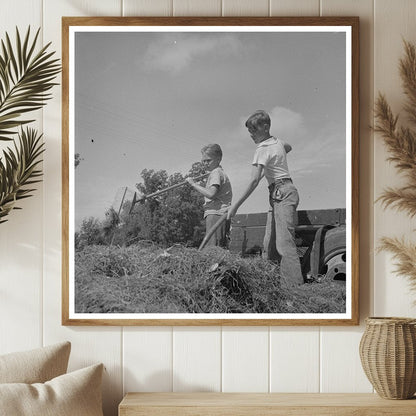 Boys Gathering Hay at Farm Camp Yuba City 1942 - Available at KNOWOL