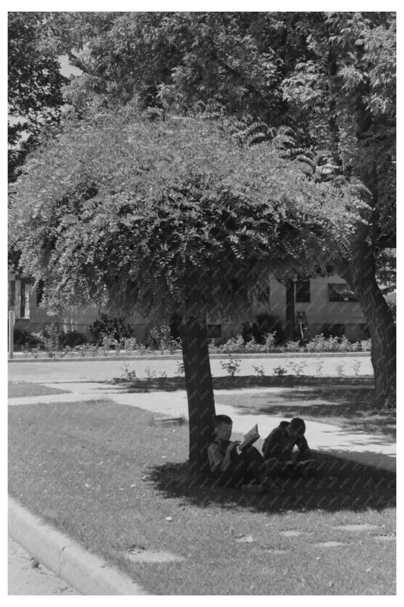 Boys Reading Outdoors in Caldwell Idaho July 1941 - Available at KNOWOL