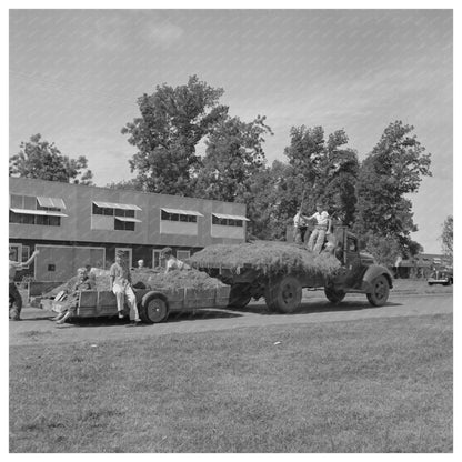 Boys Transporting Hay at FSA Camp Yuba City 1942 - Available at KNOWOL