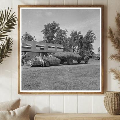 Boys Transporting Hay at FSA Camp Yuba City 1942 - Available at KNOWOL