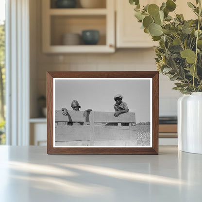 Boys Working in Cotton Truck Lake Dick Arkansas 1938 - Available at KNOWOL