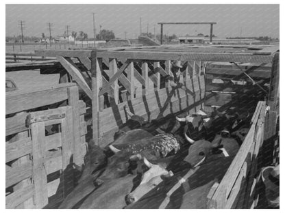 Brawley California Cattle Corral 1942 - Available at KNOWOL