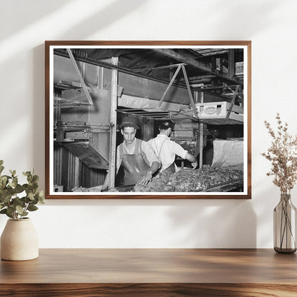 Broccoli Packing in Elsa Texas February 1939 - Available at KNOWOL