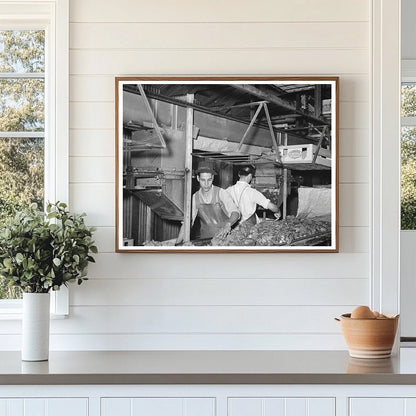 Broccoli Packing in Elsa Texas February 1939 - Available at KNOWOL