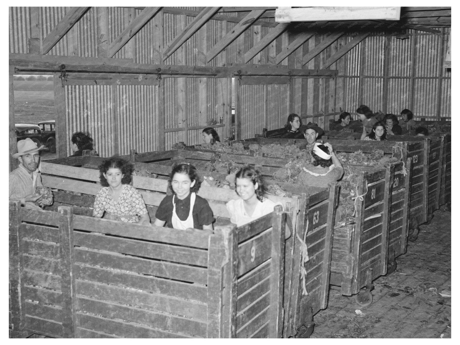 Broccoli Packing Workers in Elsa Texas February 1939 - Available at KNOWOL