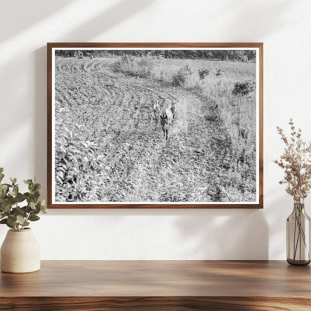 Brother Teaching Younger Sibling on North Carolina Farm 1936 - Available at KNOWOL