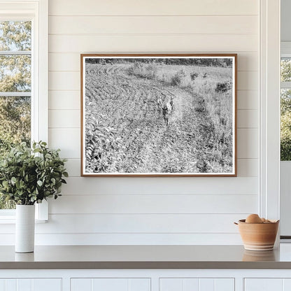 Brother Teaching Younger Sibling on North Carolina Farm 1936 - Available at KNOWOL