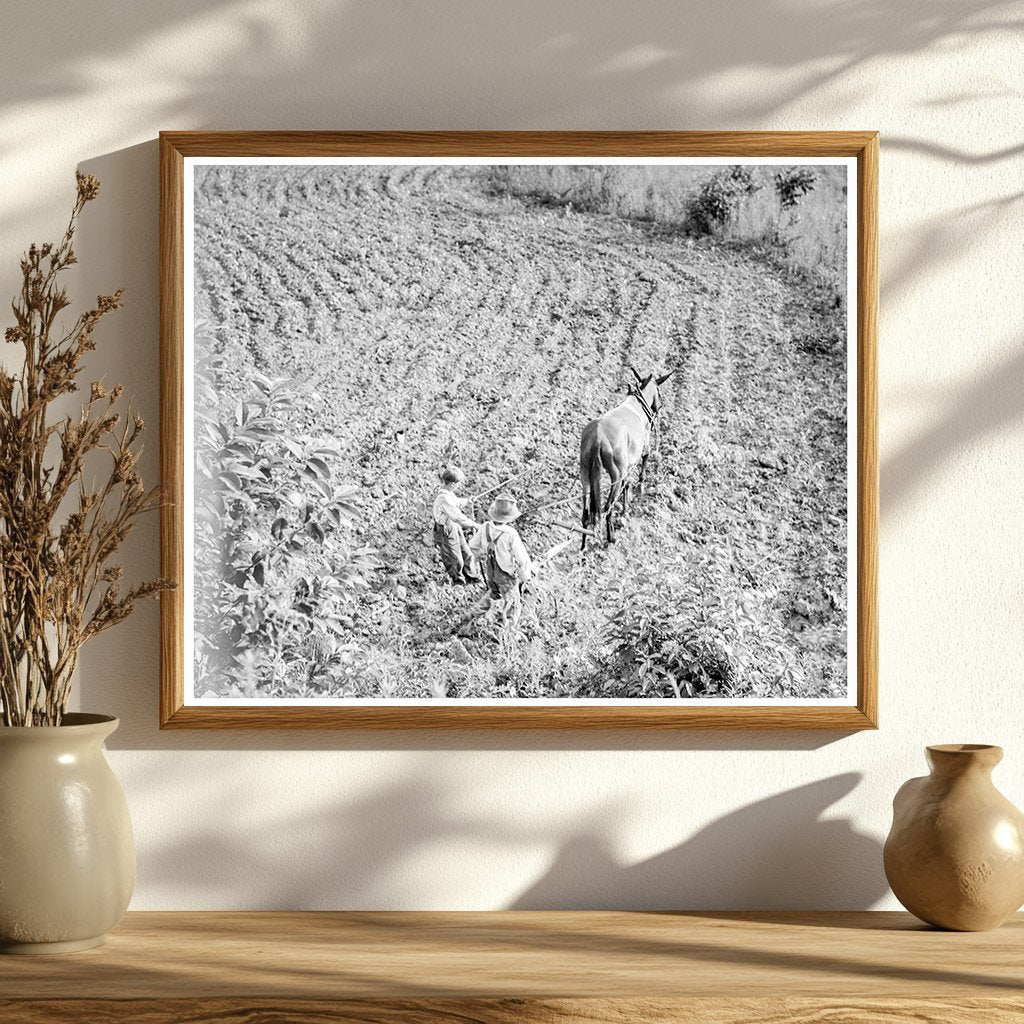 Brothers on North Carolina Farm July 1936 - Available at KNOWOL