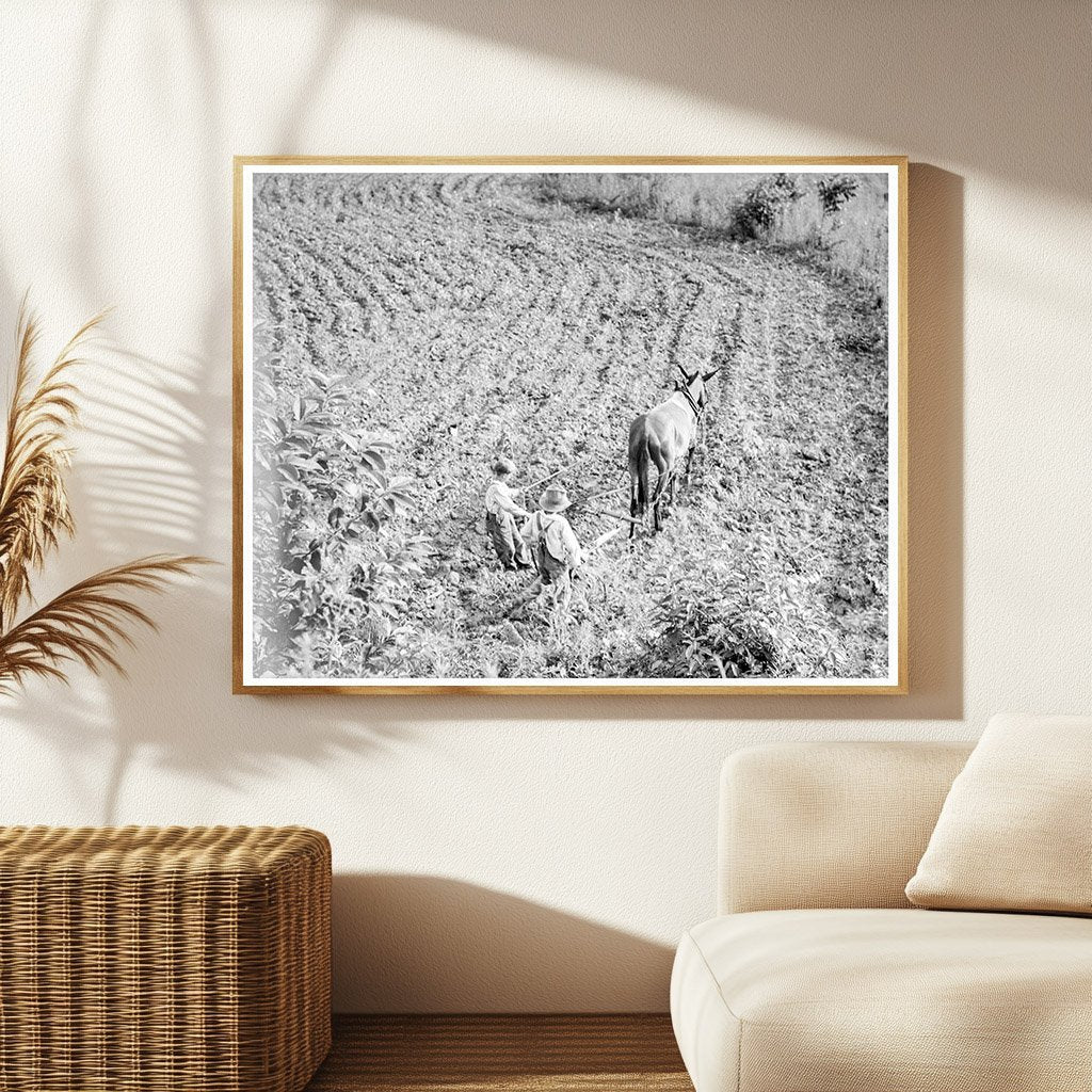 Brothers on North Carolina Farm July 1936 - Available at KNOWOL