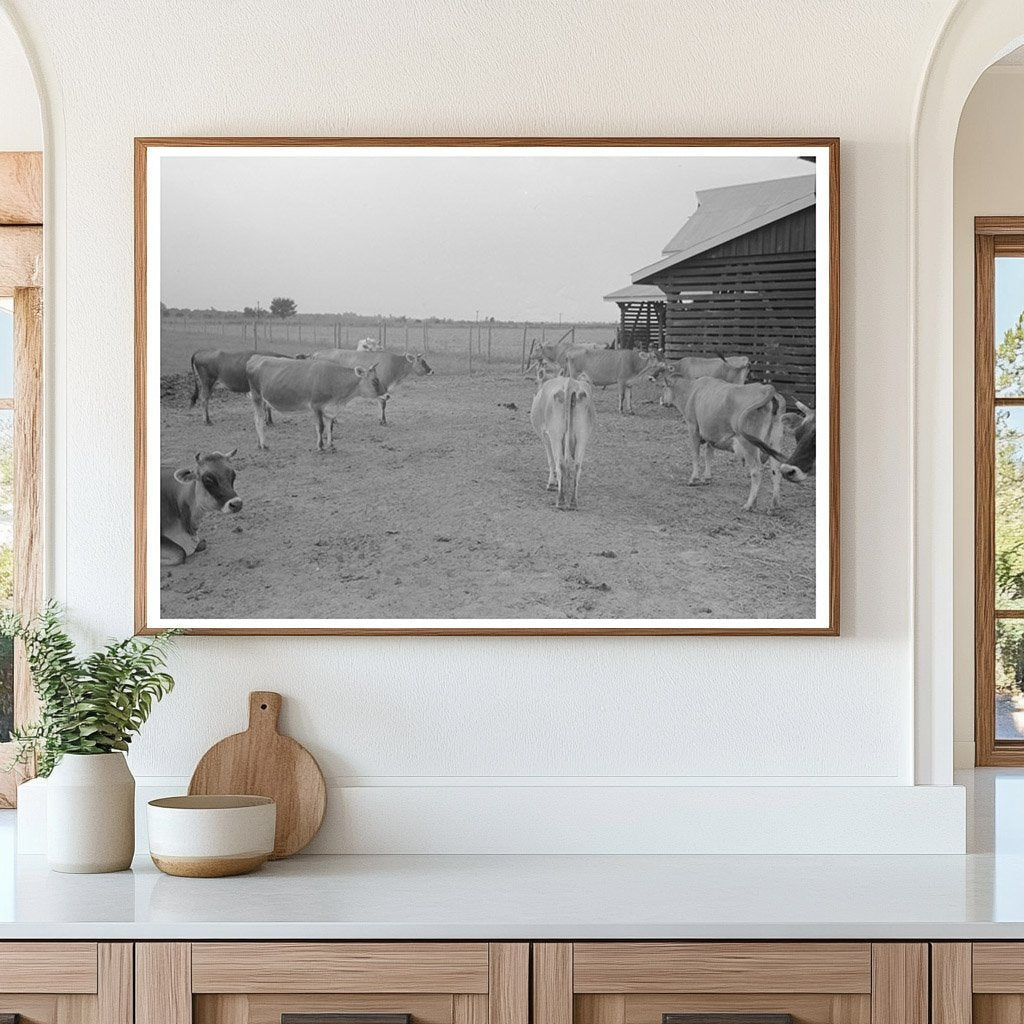 Bull and Lake Dick Project Arkansas 1938 Vintage Image - Available at KNOWOL