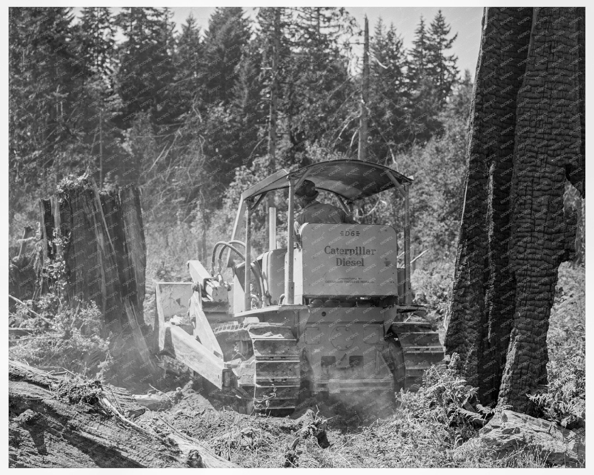 Bulldozer at Nieman Place Lewis County 1939 - Available at KNOWOL