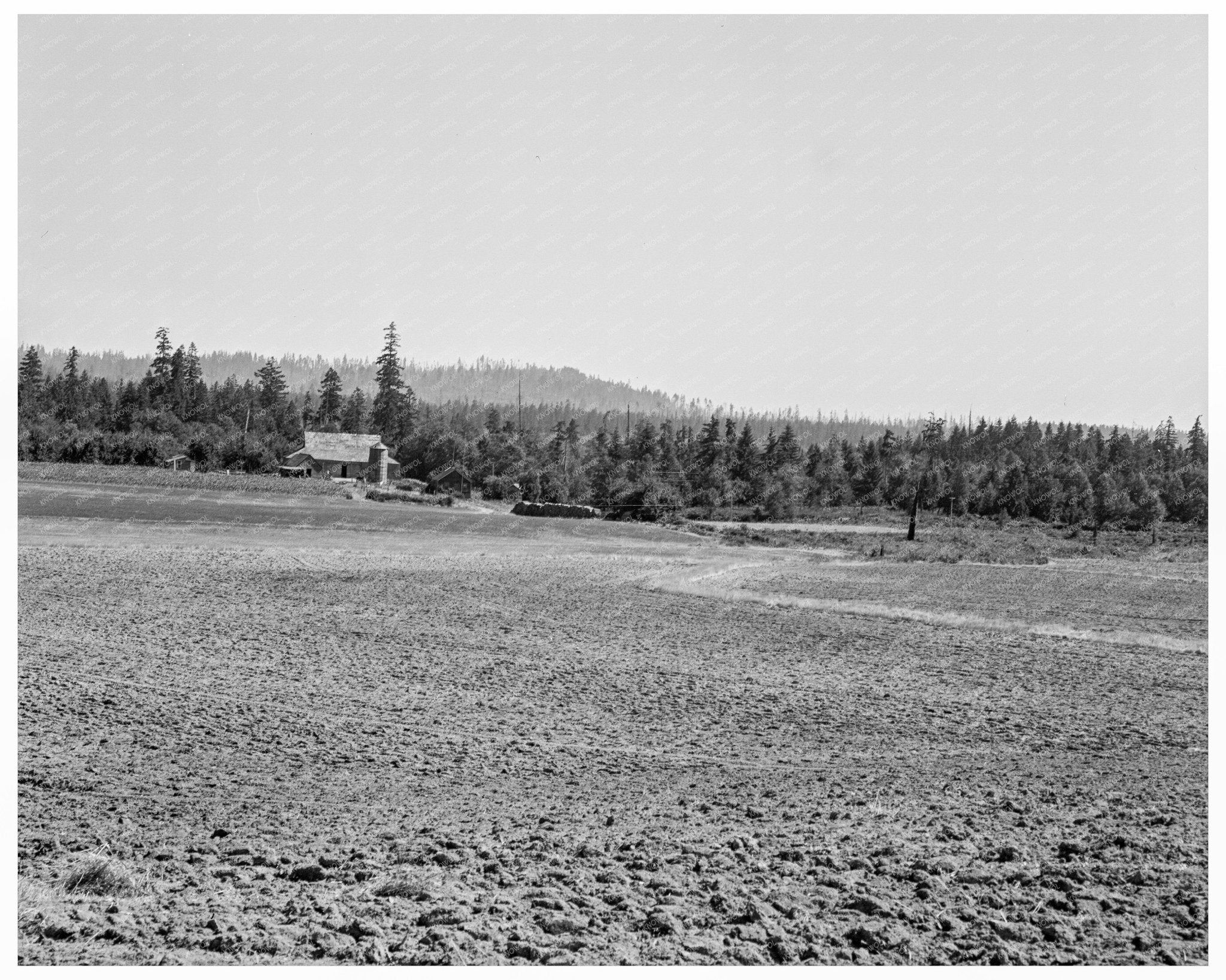 Bulldozer Clearing Land at Nieman Farm 1939 - Available at KNOWOL