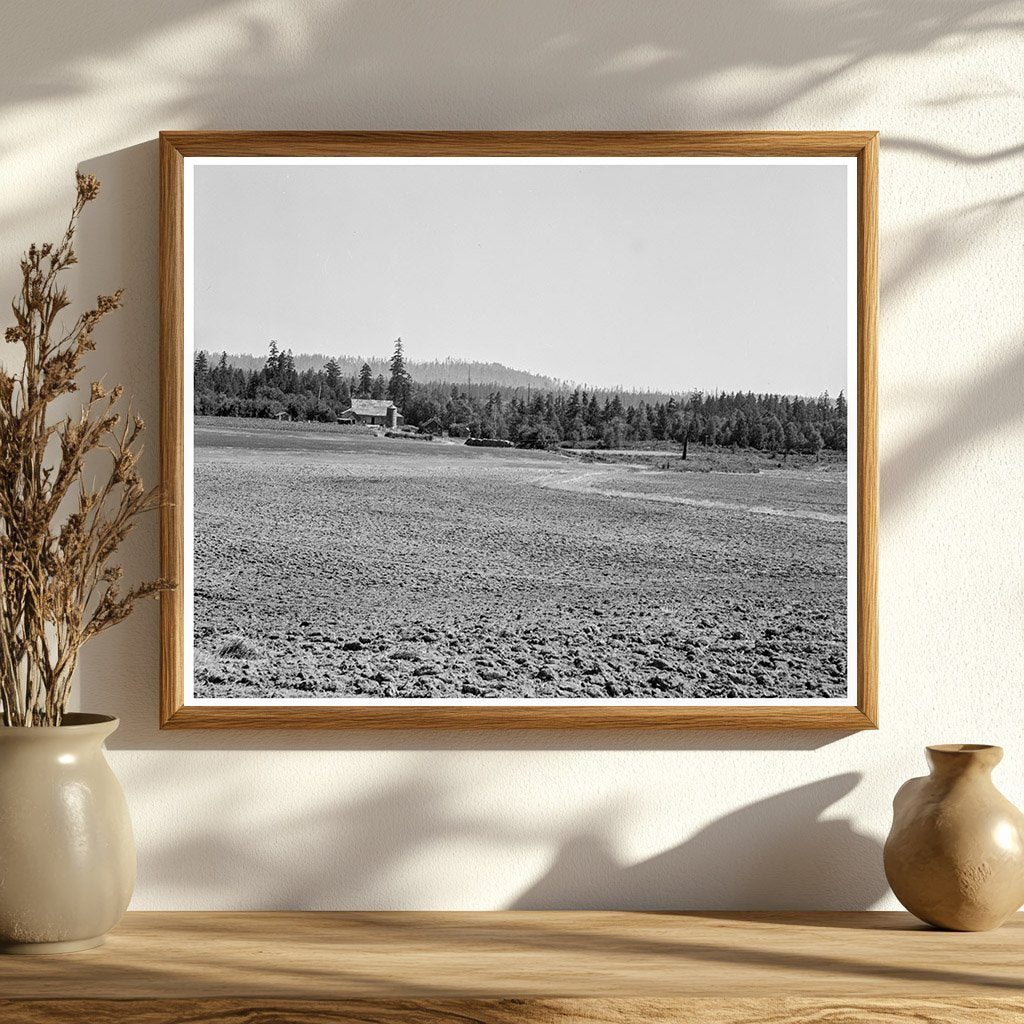 Bulldozer Clearing Land at Nieman Farm 1939 - Available at KNOWOL