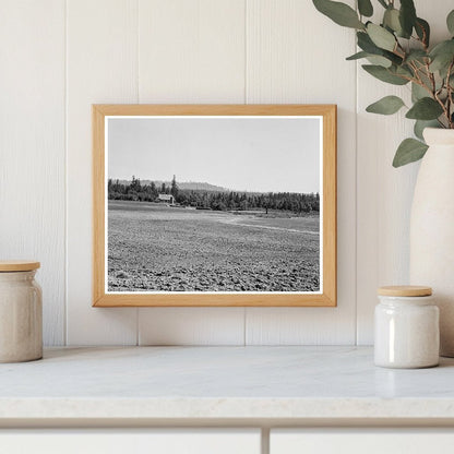 Bulldozer Clearing Land at Nieman Farm 1939 - Available at KNOWOL