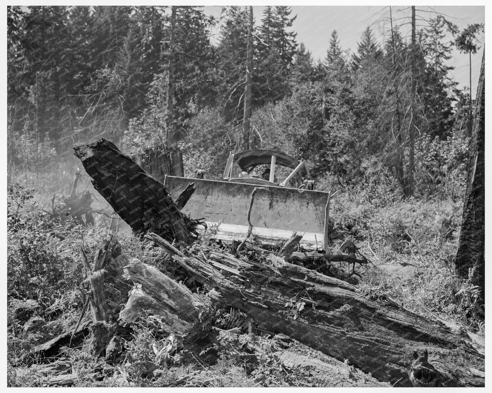 Bulldozer Clearing Land in Lewis County 1939 - Available at KNOWOL