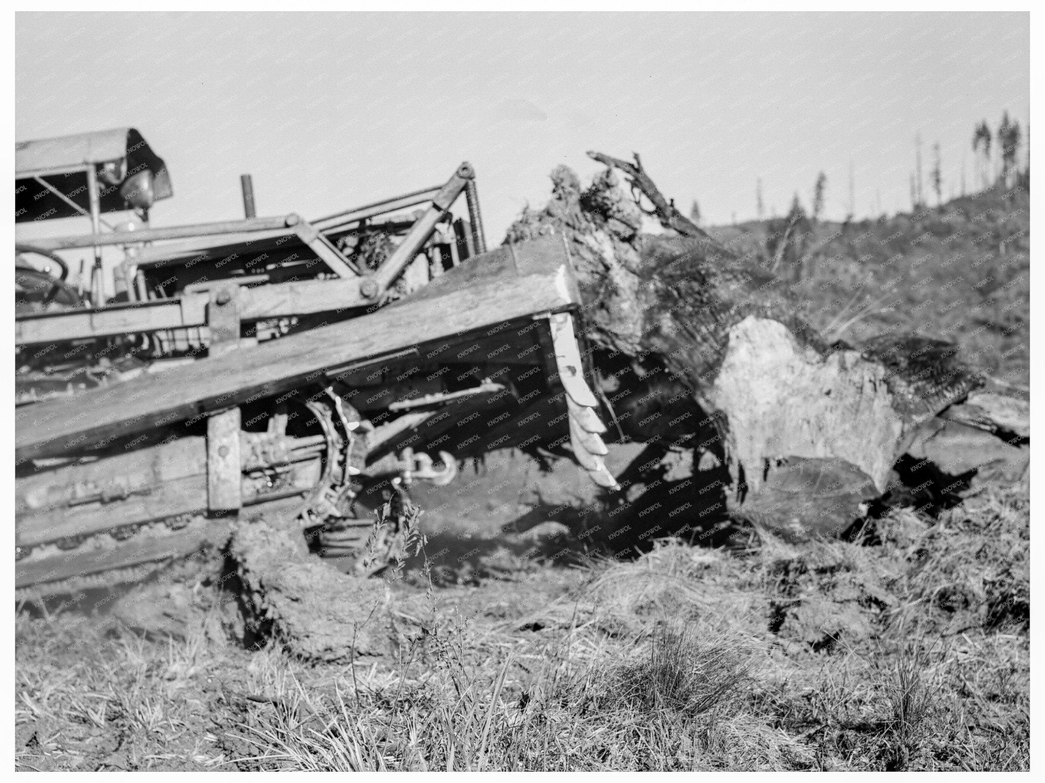 Bulldozer Clearing Stump on Farm Lewis County 1939 - Available at KNOWOL