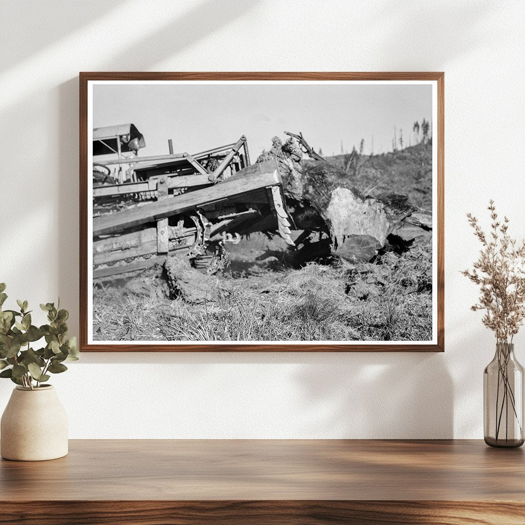 Bulldozer Clearing Stump on Farm Lewis County 1939 - Available at KNOWOL