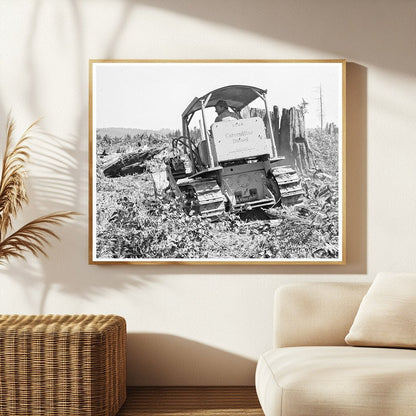 Bulldozer in Operation Lewis County Washington 1939 - Available at KNOWOL