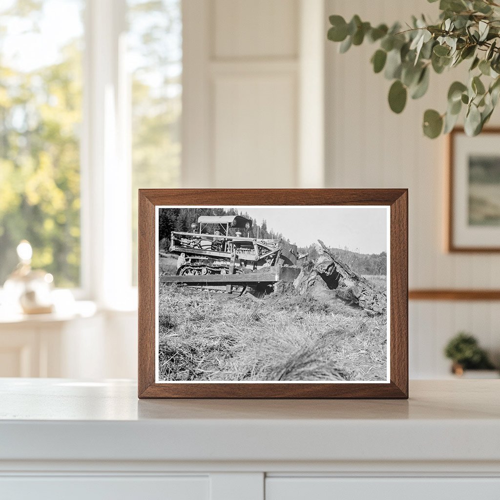 Bulldozer Moves Stump on Farm Lewis County Washington 1939 - Available at KNOWOL