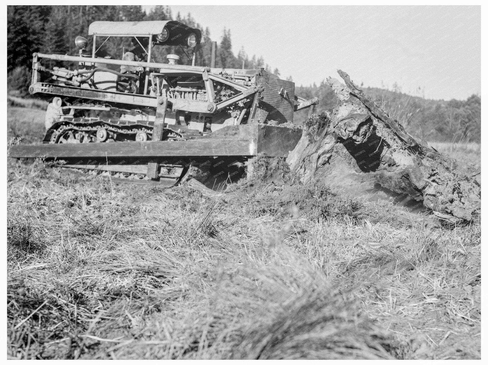 Bulldozer Moves Stump on Farm Lewis County Washington 1939 - Available at KNOWOL